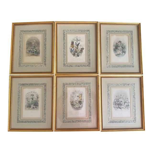 Mid 19th Century “Les Fleurs Animées” Original Hand-Painted Antique French Lithographs 1846, Set of 6, Framed For Sale