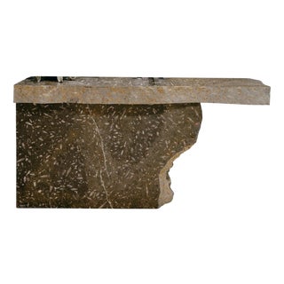 Erosion Sink in Jurassic Fossil Stone by Nerinea For Sale