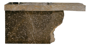 Erosion Sink in Jurassic Fossil Stone by Nerinea