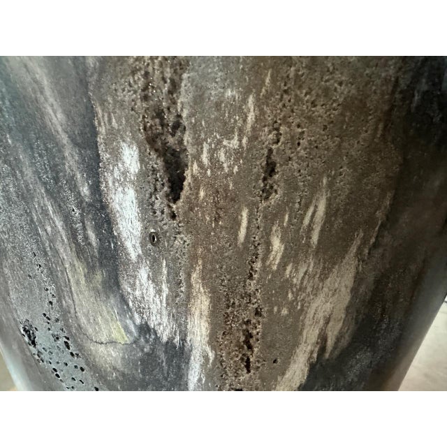 Andrianna Shamaris Exquisite High Quality Petrified Wood Side Table For Sale - Image 17 of 18