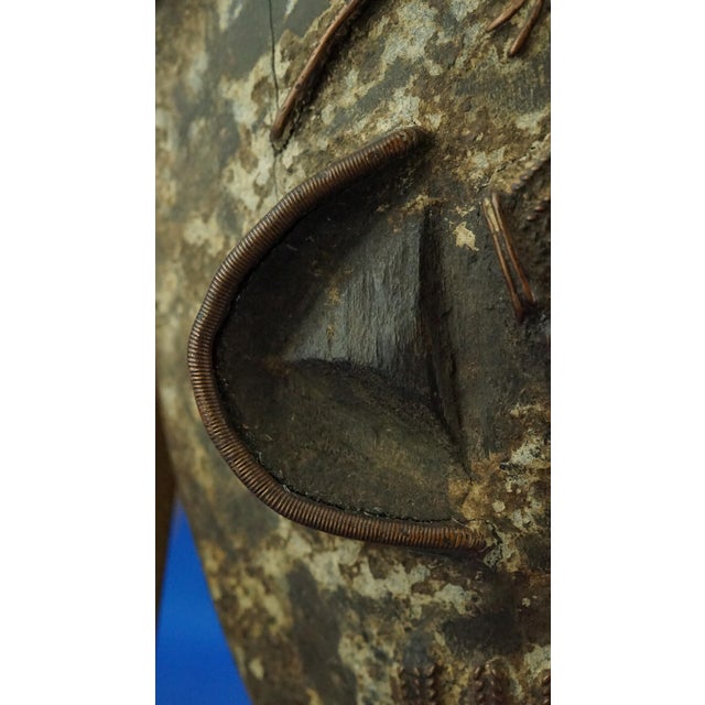 Antique African Ethnic Tribal Mask in Wenge Wood and Copper, 1890s For Sale - Image 17 of 18