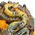 Late 19th Century A Thomas Sergent Palissy Ware Majolica Wall Pocket With Snake, French, Ca. 1875 For Sale - Image 5 of 11
