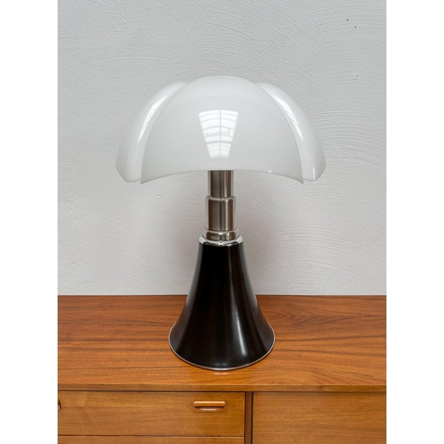 Brown Large Vintage Brown Pipistrello Lamp by Gae Aulenti for Martinelli Luce, 1970s For Sale - Image 8 of 8