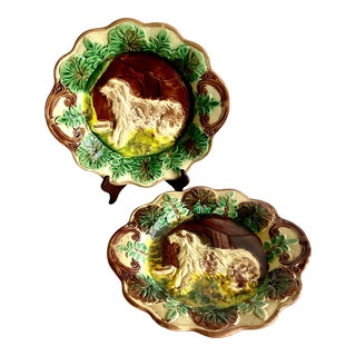 Antique Majolica Dog Plates , Pair For Sale