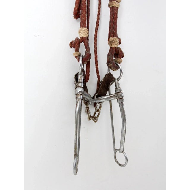 Vintage Horse Bridle For Sale - Image 9 of 12
