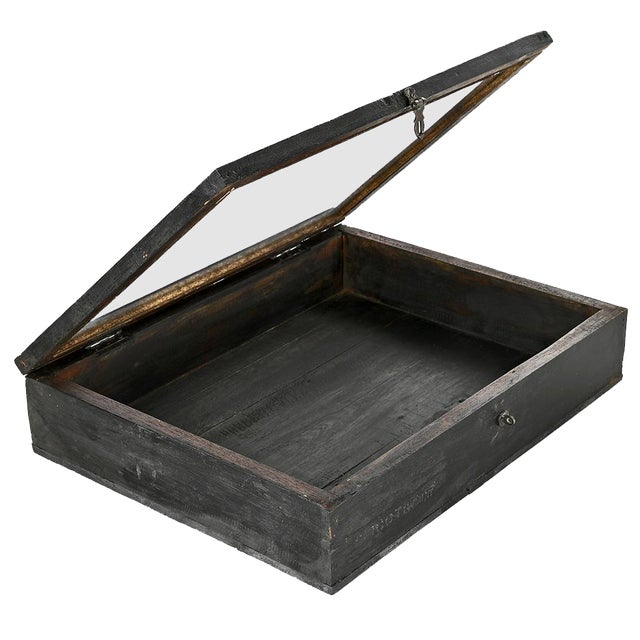 Small Display Case in Solid Wood with Black Patina For Sale