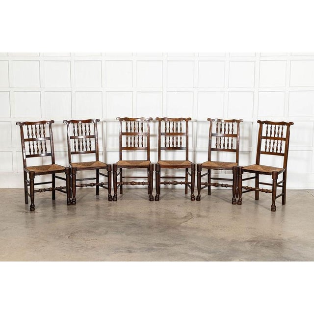 19th Century Farmhouse English Oak Harlequin Rush Spindle Back Dining Chairs, 1880, Set of 6 For Sale - Image 3 of 13