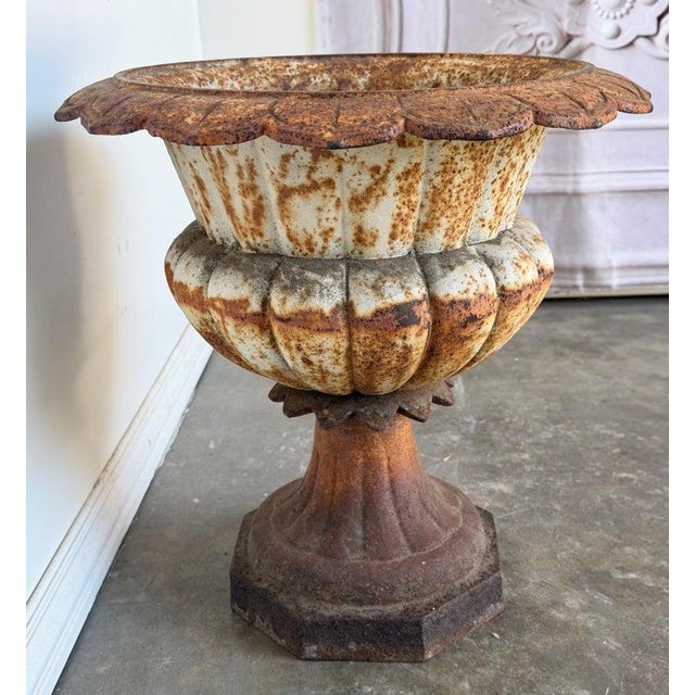 French Provincial Antique French Cast Iron Garden Urn, Distressed Patina, 19th Century For Sale - Image 3 of 13