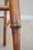 Antique American Classical Walnut Wood Chairs With Caned Seats - Set of 4 For Sale - Image 10 of 14
