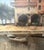 Torri del Benaco Borelli Guido, Hotel Albergo Gardesana Harbor, 1970s, Oil Painting on Canvas For Sale - Image 9 of 13