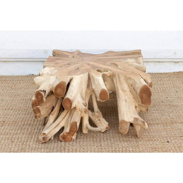 Wood Sculptural Live Form Teak Root Coffee Table For Sale - Image 7 of 9