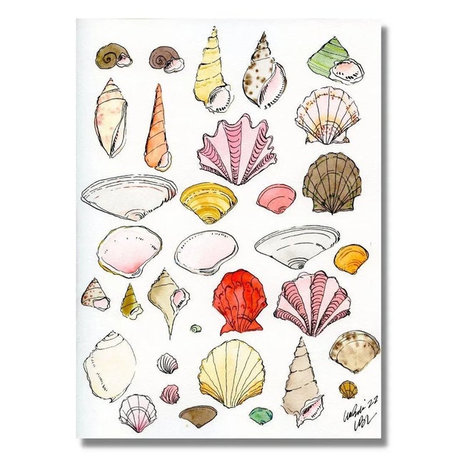 Lia Burke "Colorful Shell Collection" Lia Burke Libaire Contemporary Giclee Print For Sale - Image 4 of 4