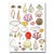 Lia Burke "Colorful Shell Collection" Lia Burke Libaire Contemporary Giclee Print For Sale - Image 4 of 4