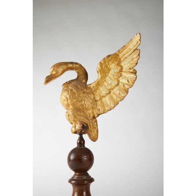 Italian Artist, Eagle, 1800s, Carved and Gilded Walnut For Sale - Image 9 of 10