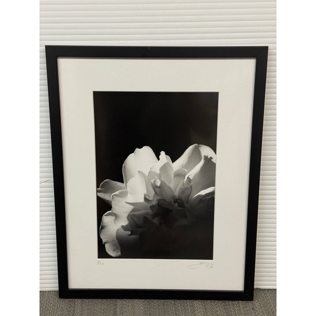 Jess Johnston Photograph, Framed For Sale - Image 4 of 12