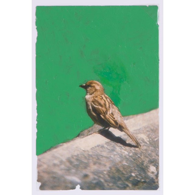 BIRD, 2001. Oil painting of green bird on exhibition postcard, each signed James Sprouse, 2001, NYC" and dated on verso....