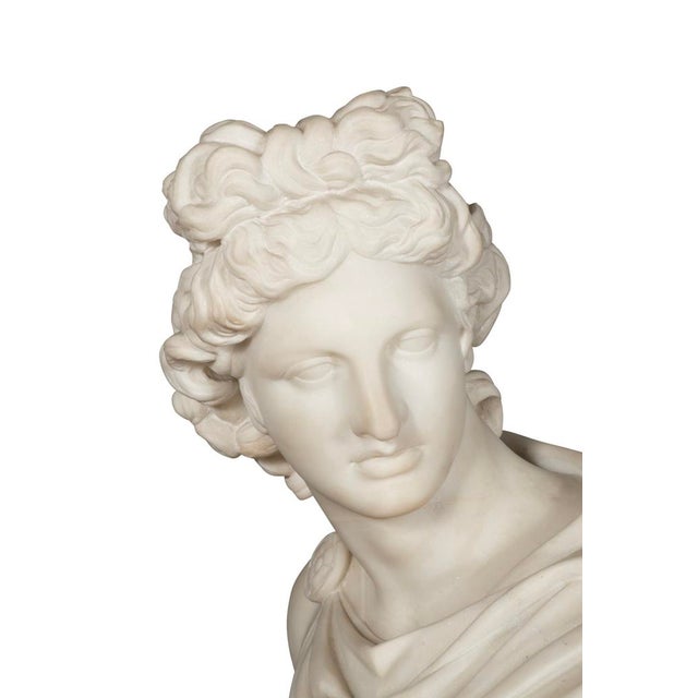 Late 19th Century Italian Carrara Marble Bust of the Apollo Belvedere For Sale - Image 5 of 6