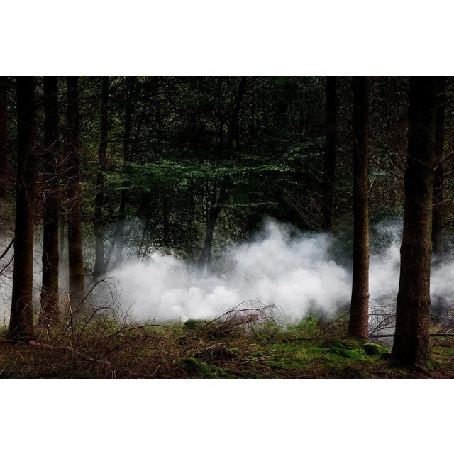 Between the Trees 10 is a Digital C-Type print on Fuji Maxima Matte paper, available in this size from a Limited Edition...