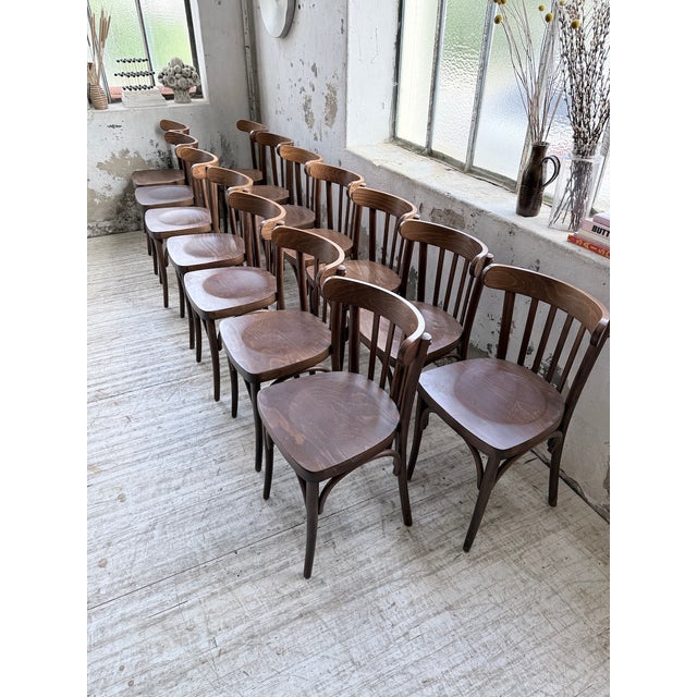 Walnut Bistro Chairs, 1970s, Set of 14 For Sale - Image 9 of 18