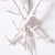 Metal Pair of Mid-Century Faux Coral Wall Sconces For Sale - Image 7 of 8