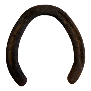 Antique Cast Iron Horseshoe With Authentic Aged Patina