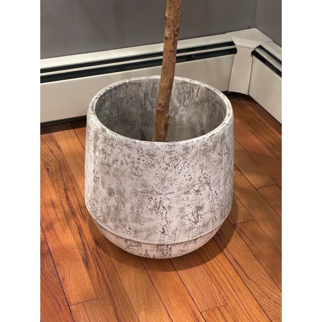 Textured Cement Pot Planter For Sale - Image 4 of 4