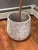 Textured Cement Pot Planter For Sale - Image 4 of 4