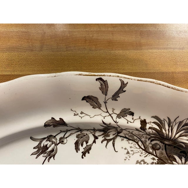 Late 19th Century Antique Brown Transferware "Daisy" Pattern Platter For Sale - Image 5 of 8