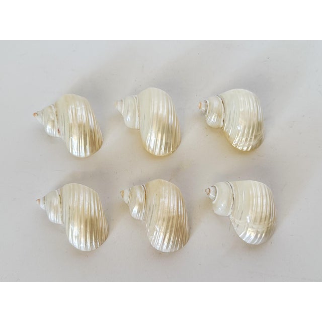 Vintage Pearl Shell Napkin Rings, Set of 6 For Sale In Dallas - Image 6 of 7