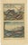 Various Fish Species and Other Marine Life, 1726, Paper, Set of 12 For Sale - Image 13 of 14