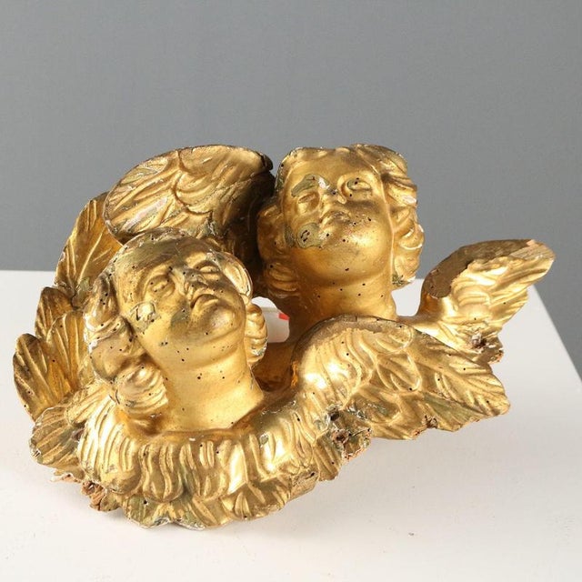 Golden Cupids in Carved and Gilded Wood For Sale - Image 10 of 10
