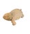 2000 - 2009 Vintage Cast Stone Turtle Garden Statue For Sale - Image 5 of 12