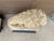 Brown Monumental Neoclassical Cast Stone Garden Lions, a Pair For Sale - Image 8 of 15