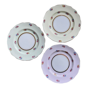 Collection of Three (3) English Floral 8” Plates by Colclough