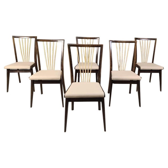 Mid-Century Italian Dining Chairs, 1950s, Set of 6 For Sale - Image 16 of 16