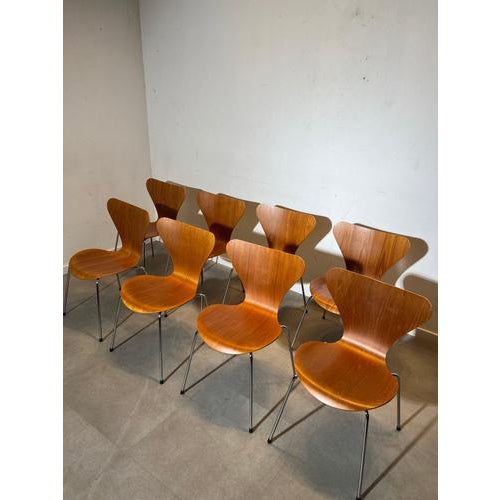 Series 7 Stackable Chairs by Arne Jacobsen for Fritz Hansen, Set of 8 For Sale - Image 6 of 6