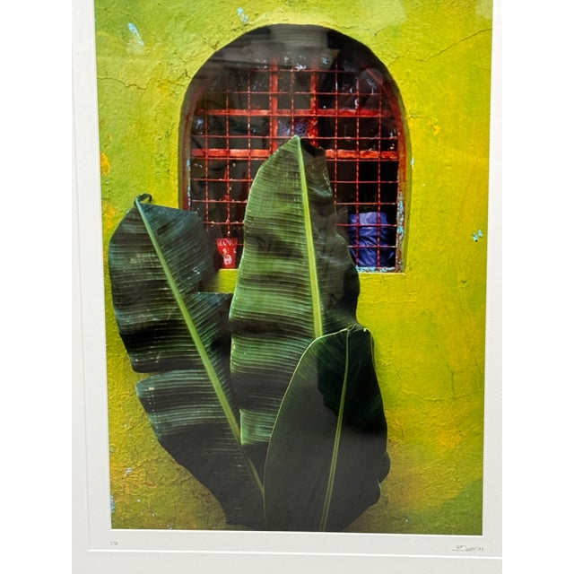 Jeffrey Becom Maya Color Chartreuse Ltd. Ed. Photograph, Signed For Sale - Image 4 of 12
