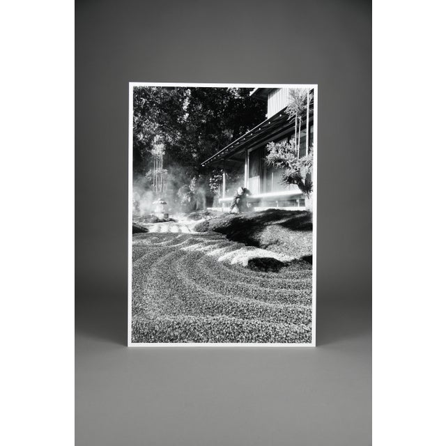 Taco, Monochrome Hase-Dera Temple, Kamakura, Kanagawa, 2024, Archival Pigment Print For Sale - Image 3 of 10