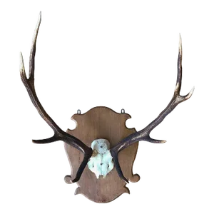 Large Mounted Deer Antlers