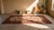 Charming Ivory Background and Red Border With Allover Pattern Antique Persian Rug For Sale - Image 10 of 11