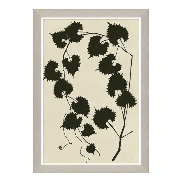 Ink on Paper - Vine by Susan Hable For Sale