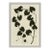 Ink on Paper - Vine by Susan Hable For Sale