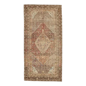 Mid 20th Century Antique Decorative Wool Khotan Rug