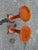 Pair of Antique Quarter-Sawn Pedestal / Plant Stands For Sale - Image 4 of 17