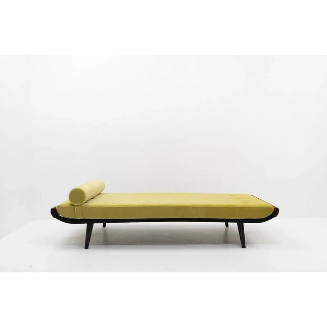 Cleopatra Daybed by Dick Cordemeijer for Auping, 1950s For Sale - Image 11 of 11