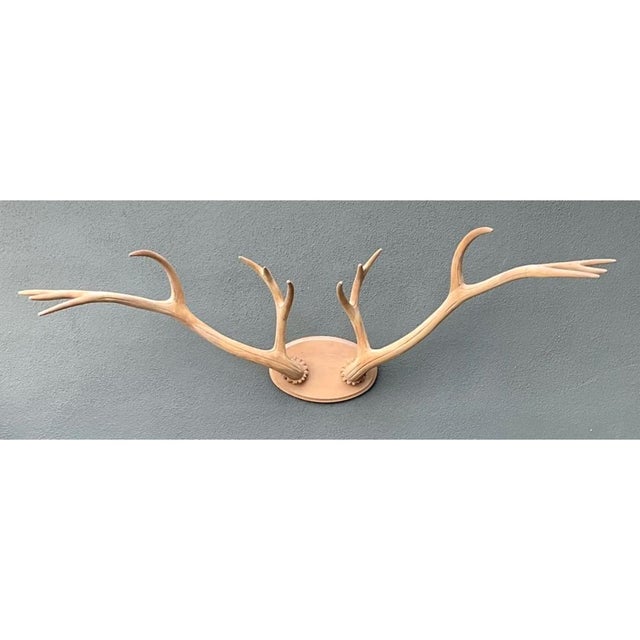 Vintage Carved Wood Antler Wall Mount For Sale - Image 14 of 14