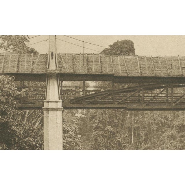 A striking original photogravure by renowned photographer c.j. Kleingrothe, showing the lush tropical landscape and a...