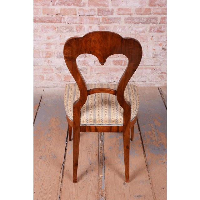 Brown Biedermeier Chairs in Walnut, Austria, 1830s, Set of 8 For Sale - Image 8 of 14