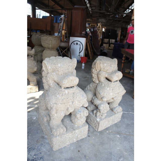 Late 20th Century Vintage Chinese Concrete Foo Dogs Guardian Lion Statues- A Pair For Sale - Image 9 of 13
