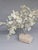 Prehnite Crystal Tree, Cluster Gemstone Tree